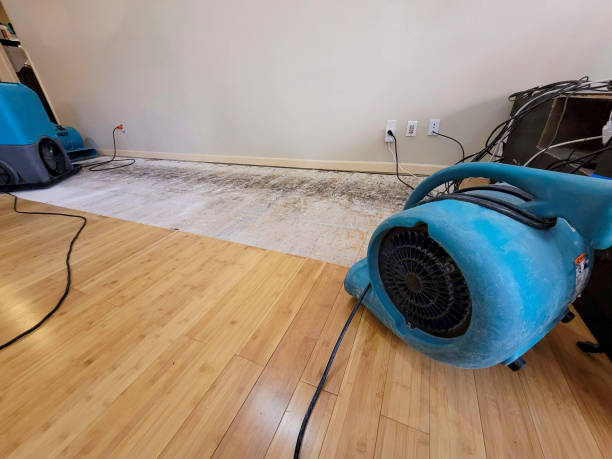 Professional Water Removal technician working in Felton, DE